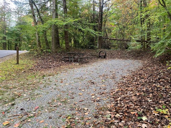 Gravel area with a circle fire ring and picnic table.D-25 tent space.