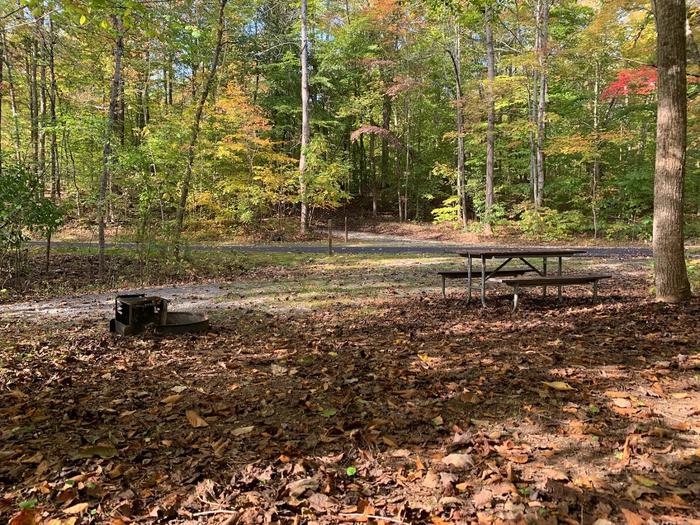 Gravel area with a circle fire ring and picnic table.E-6 tent space.