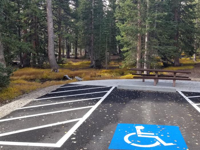 Accessible symbol on blacktop parking area near picnic table and spruce treesSite #5