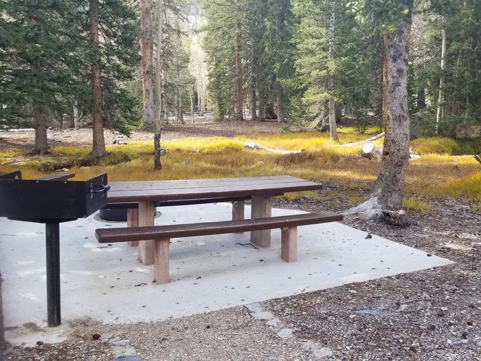 Picnic table and grill under spruce treesSite #6