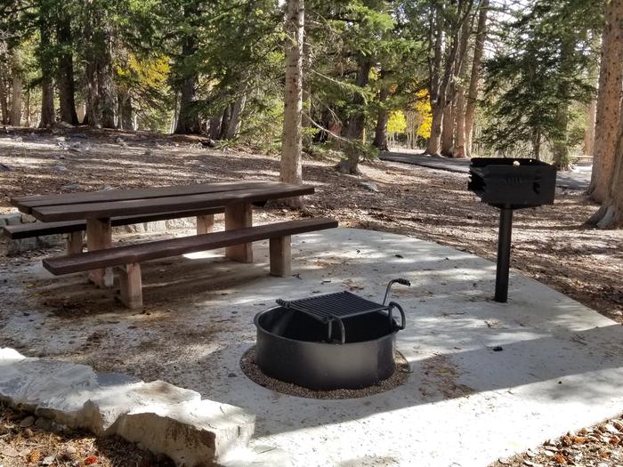 Picnic table, grill and fire ring under spruce treesSite #7