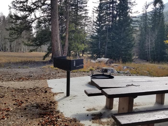 Picnic table, grill and campfire ring next to meadow and spruce treesSite #9