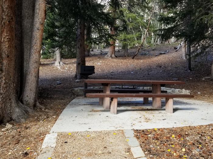 Picnic table and grill under spruce treesSite #10