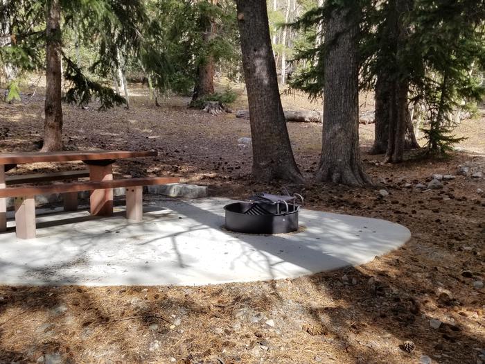 Picnic table and campfire ring under spruce treesSite #12