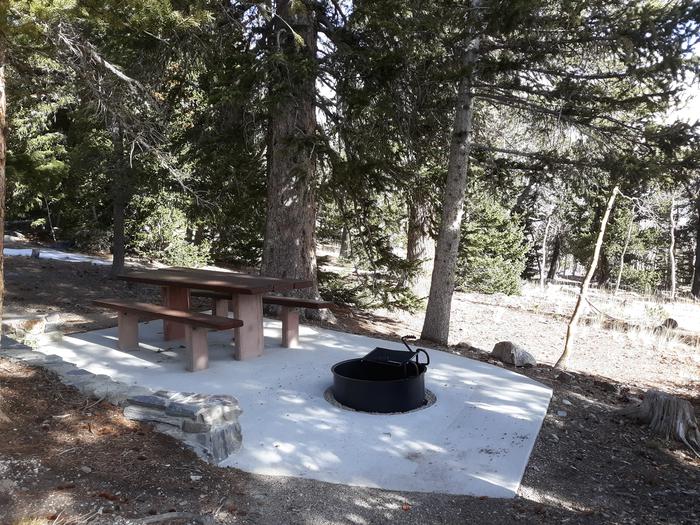 Picnic table and campfire ring under spruce tresSite #17