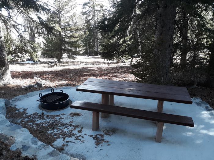 Picnic table and campfire ring under spruce treesSite #18