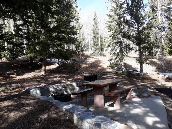 Picnic table and campfire ring under spruce treesSite #19