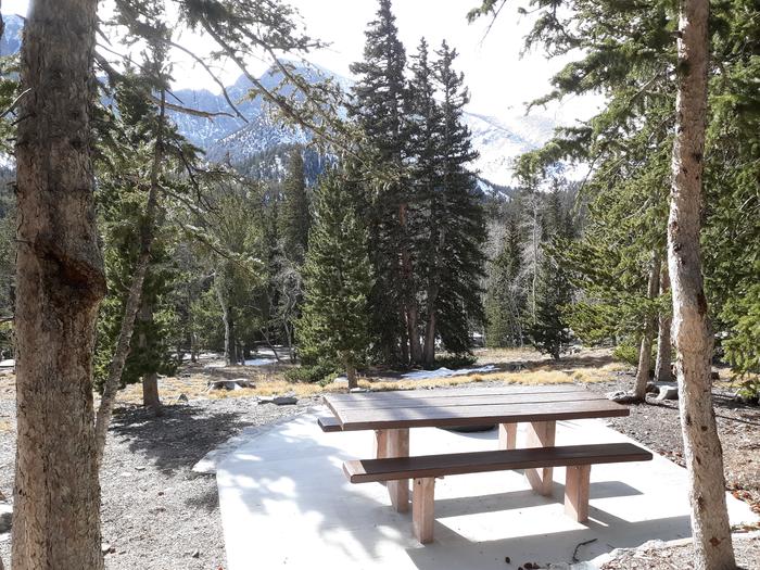 Picnic table with spruce trees and mountain in the distanceSite #20