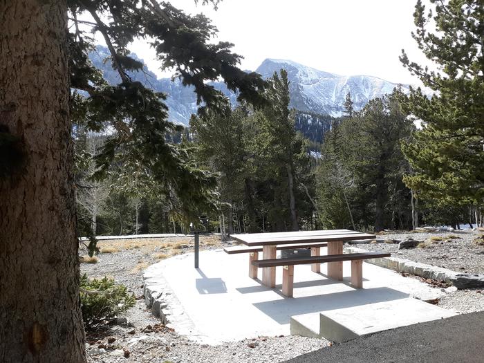 Picnic table and grill with spruce trees and distant mountainSite #22