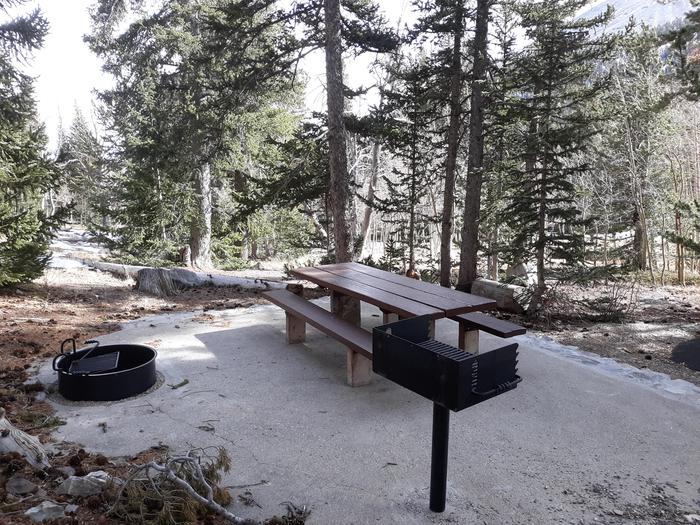 Picnic table, grills and campfire ring with spruce treesSite #25