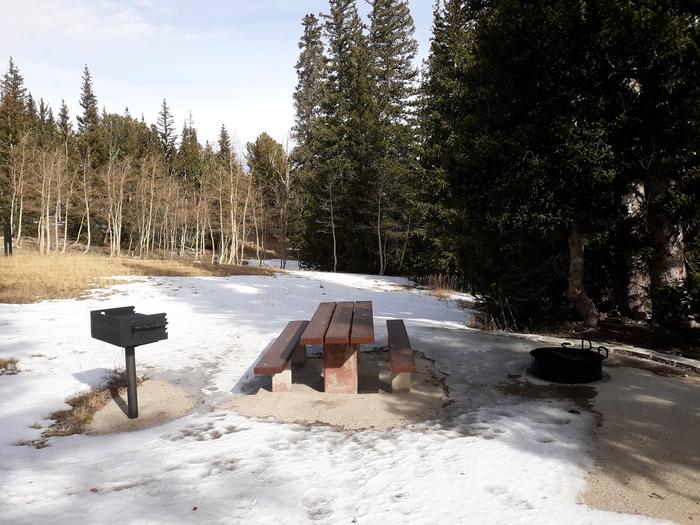 Picnic table, grill and campfire ring near meadow and spruce treesSite #26
