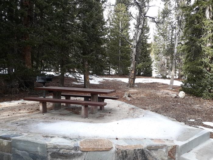 Picnic table and grill under spruce treesSite #29