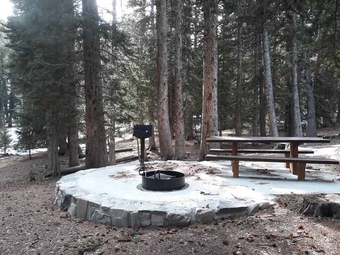 Picnic table, grill and campfire ring under spruce treesSite #30