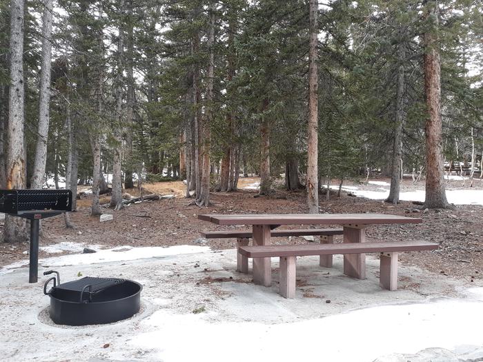 Picnic table, grill and campfire ring under spruce treesSite #32