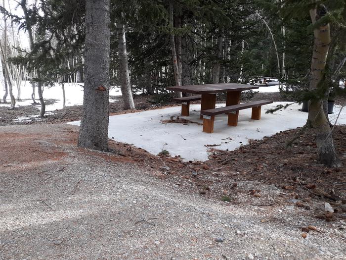 Picnic table beside gravel parking area under spruce treesSite #33