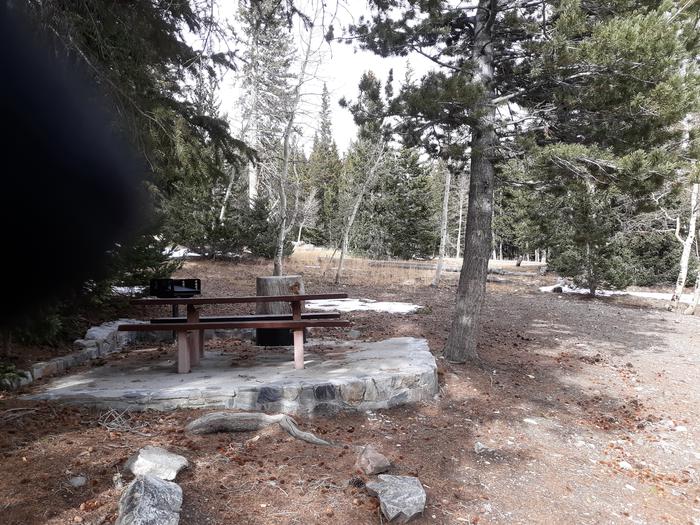 Picnic table and grill under spruce treesSite #34