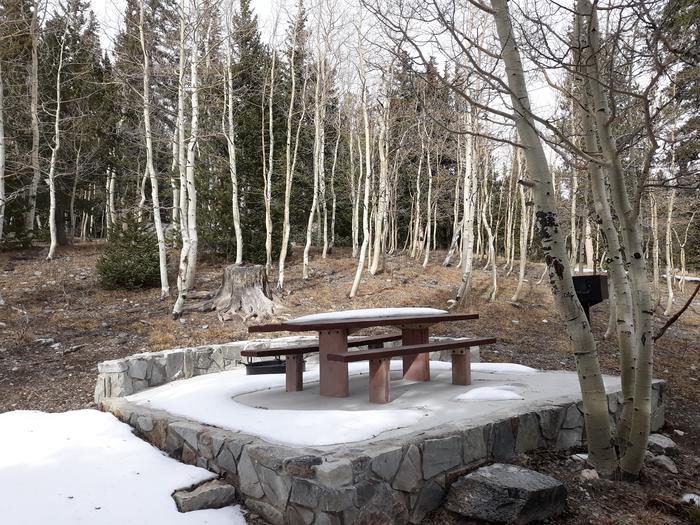 Picnic tale table with aspen trees in backgroundSite #35