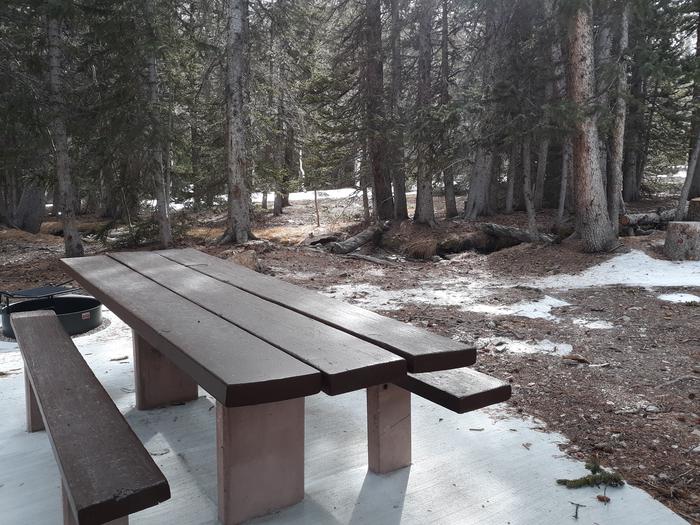 Picnic table and campfire ring under spruce treesSite #36