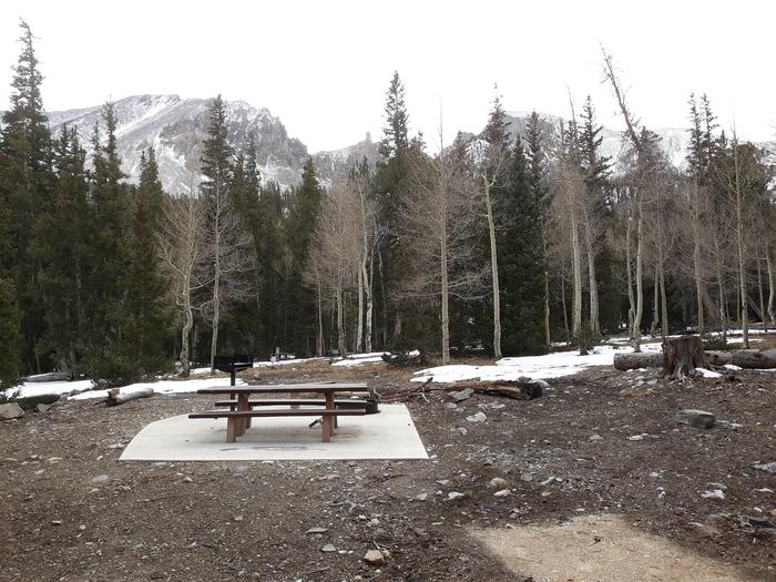 Picnic table and grill with aspen and spruce trees behindSite #37