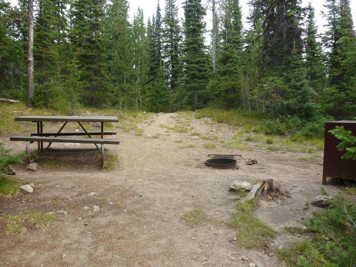 Lewis Lake site 1 picnic table, fire ring, and bear box.Lewis Lake site 1