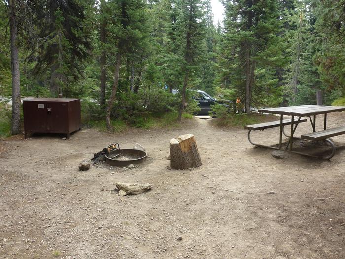 Lewis Lake site 3 bear box, fire ring, and picnic table. Lewis Lake site 3