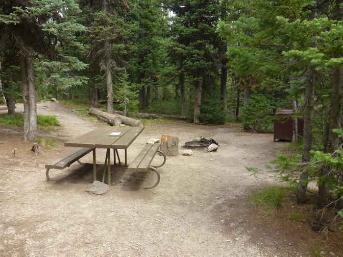 Lewis Lake site 3 bear box, fire ring, and picnic table from the parking areaLewis Lake site 3