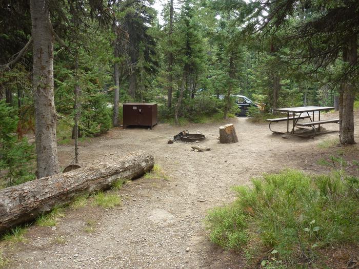 Lewis Lake site 3 bear box, fire ring, and picnic table seen from the tent pad.Lewis Lake site 3