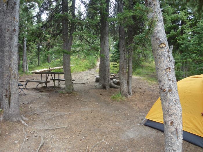 Lewis Lake site 5 picnic table and tent.Lewis Lake site 5