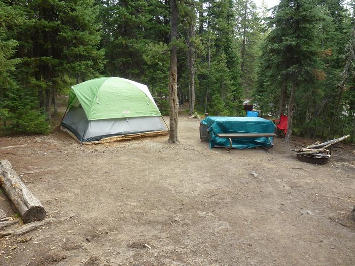 Lewis Lake site 6 with tent, picnic table, and camp chairs. Lewis Lake site 6