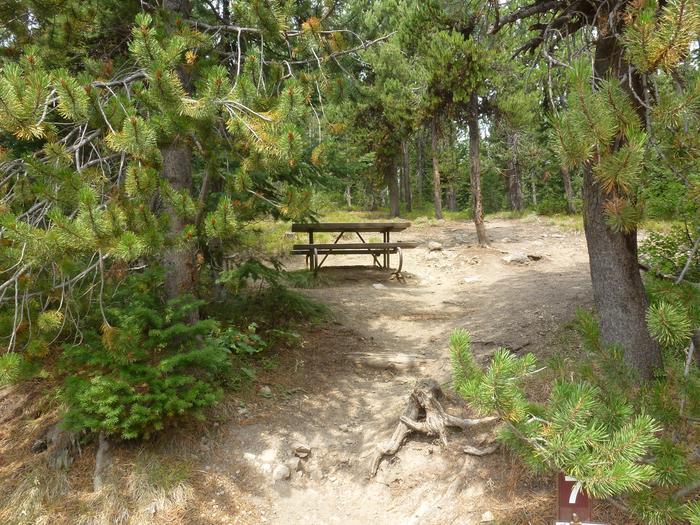 Lewis Lake site 7 trail and picnic table.Lewis Lake site 7