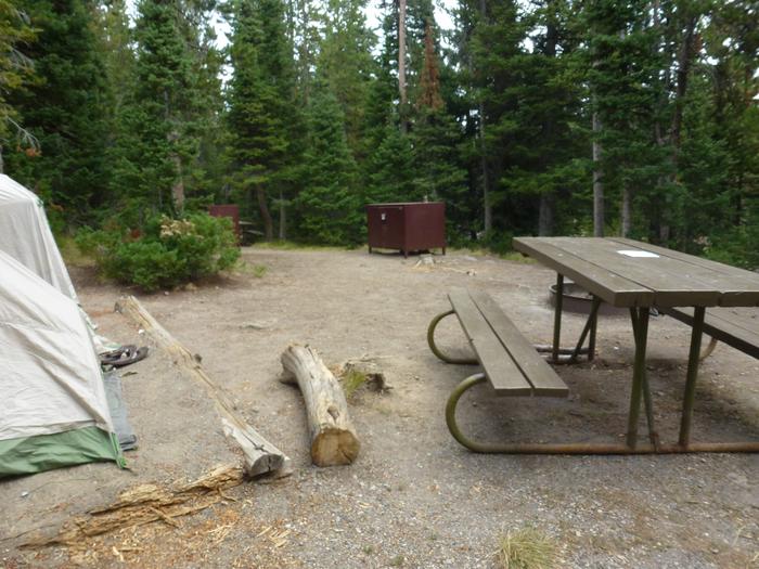 Lewis Lake site 9 with tent, picnic table, and bear box. Lewis Lake site 9