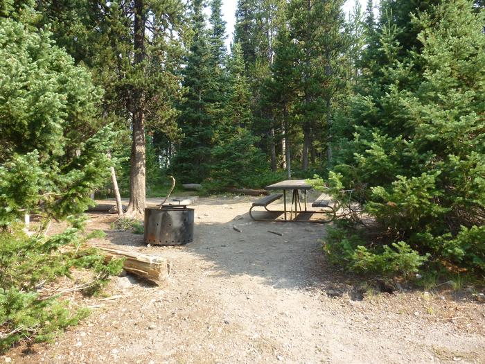 Lewis Lake site 12 fire ring and picnic table.Lewis Lake site 12 