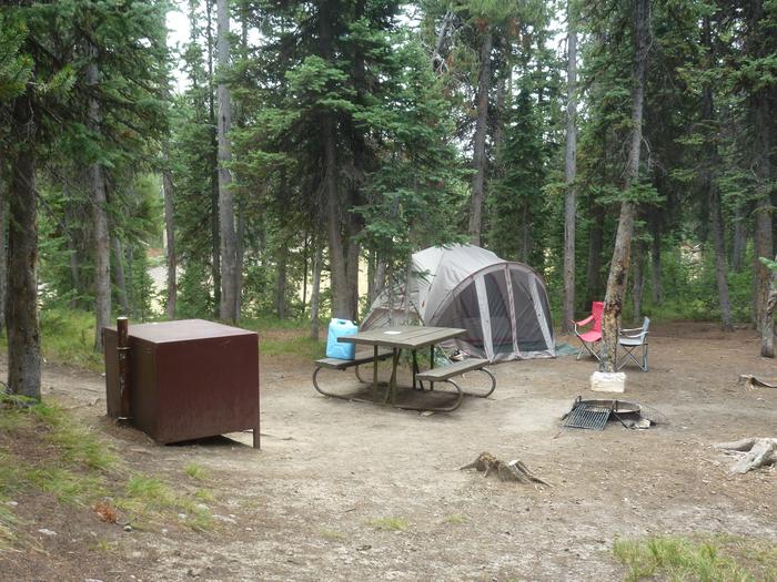 Lewis Lake site 14 with bear box, picnic table, fire ring, and tent.Lewis Lake site 14