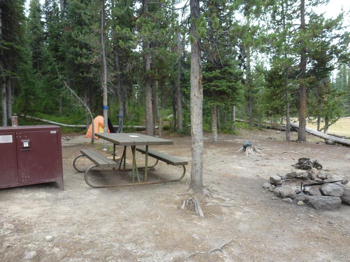 Lewis Lake site 16 bear box, picnic table, fire ring, and tentLewis Lake site 16