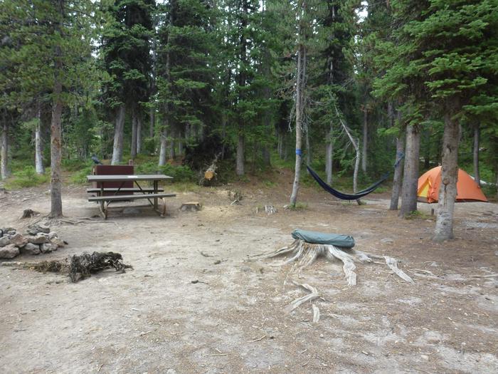 Lewis Lake site 16 bear box, picnic table, fire ring, and tent from a different angle. Lewis Lake site 16