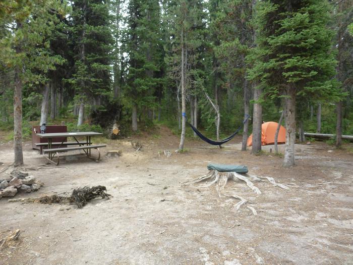 Lewis Lake site 16 bear box, picnic table, fire ring, hammock, and tent.Lewis Lake site 16