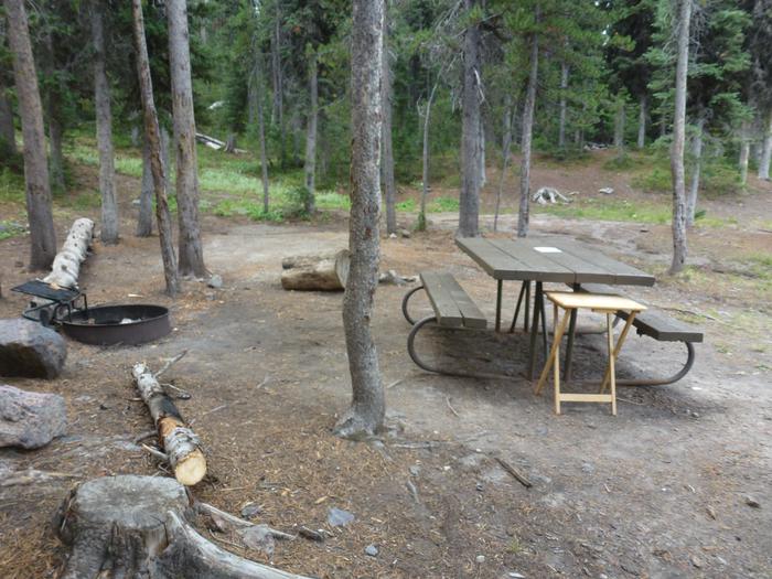Lewis Lake site 17 fire ring and picnic tableLewis Lake site 17
