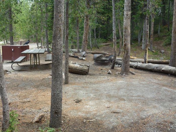 Lewis Lake site 17 bear box and picnic table from a different angle.Lewis Lake site 17