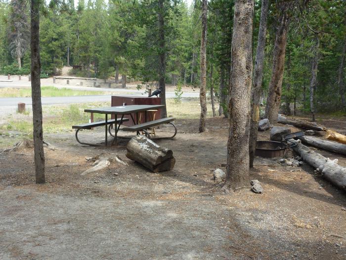 Lewis Lake site 17 bear box, picnic table and fire ring. Lewis Lake site 17