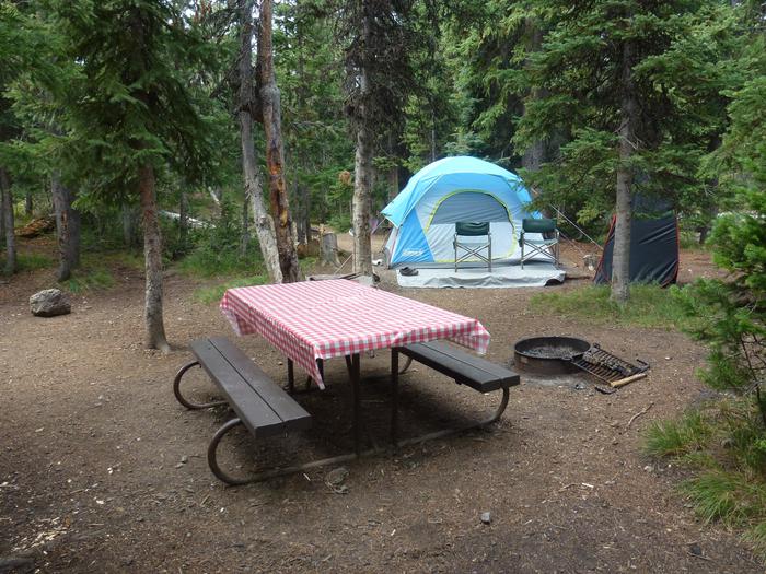 Lewis Lake site 18 picnic table, fire ring, and camping equipment. Lewis Lake site 18