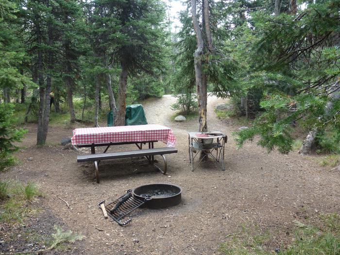 Lewis Lake site 18 fire ring, picnic table, and camping equipment. Lewis Lake site 18