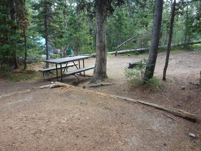 Lewis Lake site 19 picnic table and tent pad.Lewis Lake site 19