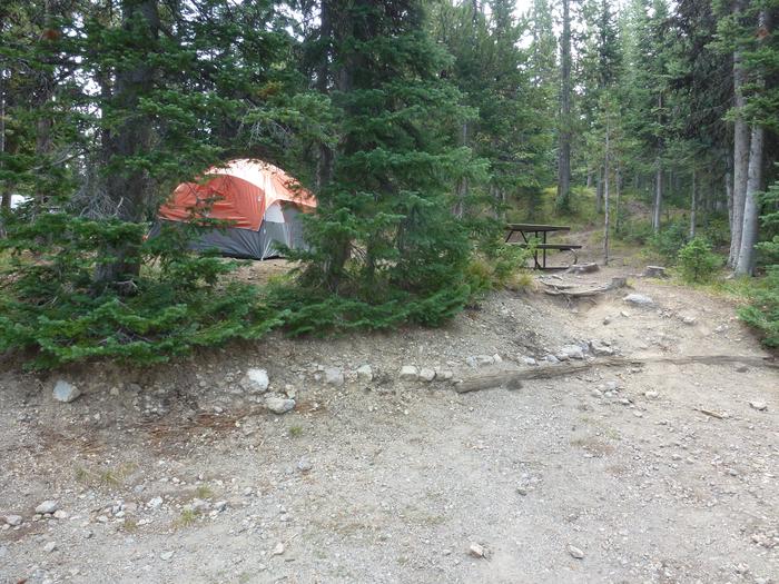 Lewis Lake site 20 tent and picnic table.Lewis Lake site 20