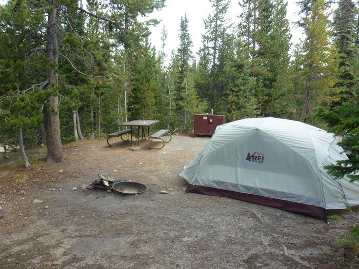 Lewis Lake site 21 fire ring, tent, picnic table, and bear box.Lewis Lake site 21