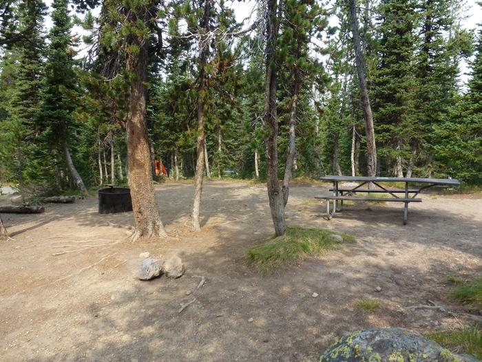 Lewis Lake site 30 fire ring and picnic tableLewis Lake site 30