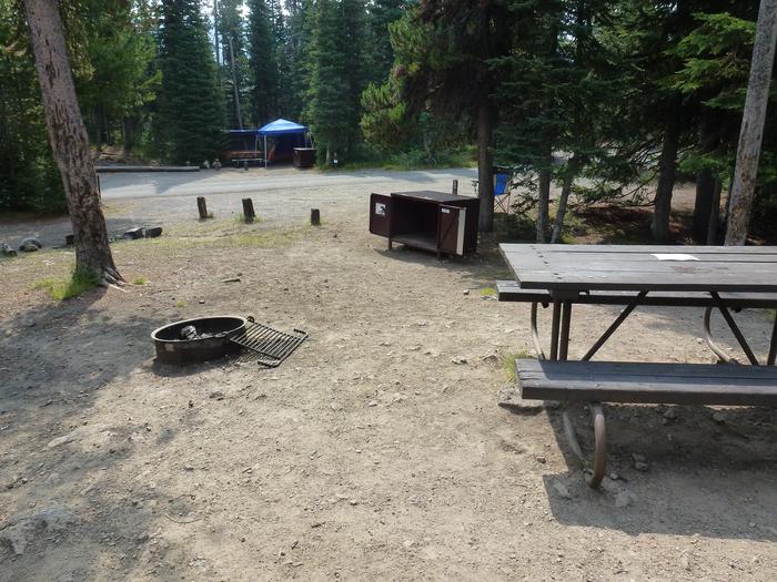 Lewis Lake site 33 picnic table, fire ring, and bear box.Lewis Lake site 33