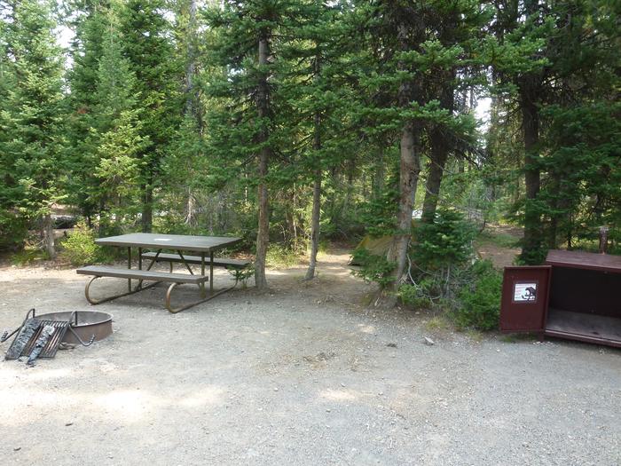 Lewis Lake site 42 fire ring, picnic table, and bear boxLewis Lake site 42