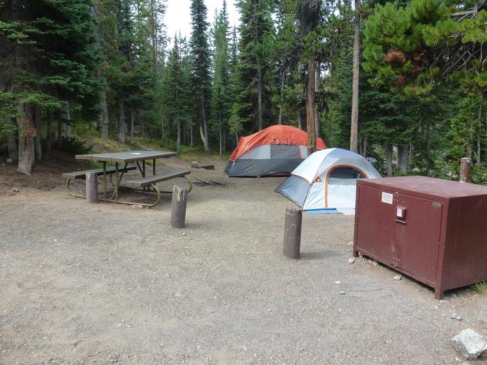 Lewis Lake site 46 picnic table, bear box, and two tents.Lewis Lake site 46
