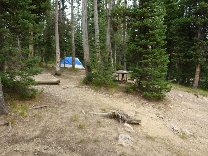 Lewis Lake site 51 tent pad and picnic tableLewis Lake site 51