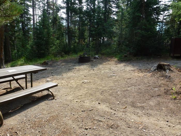 Lewis Lake site 55 picnic table and fire ringLewis Lake site 55
